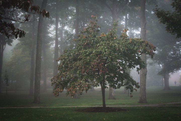 Photo credit: Elena Creed